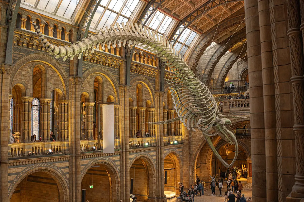 Natural History Museum in South Kensington, SW7